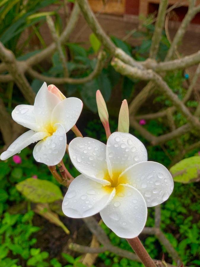 Cabanas Maria Hau 汉格罗阿 外观 照片